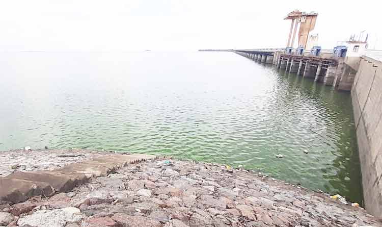 జలాశయాలు కళకళ!