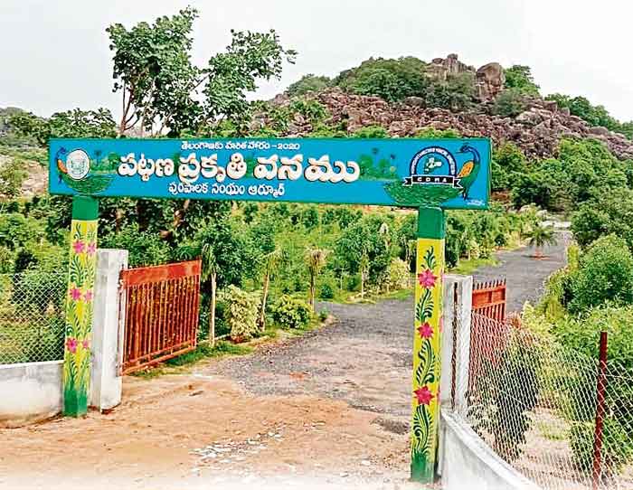 మున్సిపల్‌ రోడ్లకు పచ్చందాలు