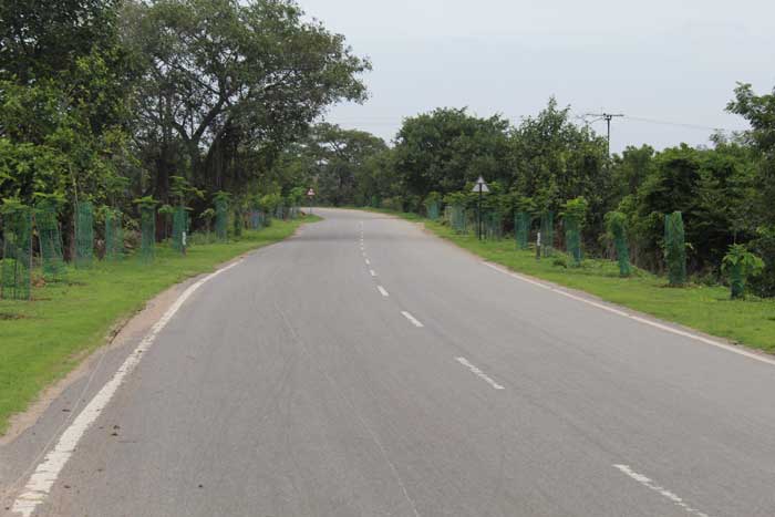 హరిత నిధి!