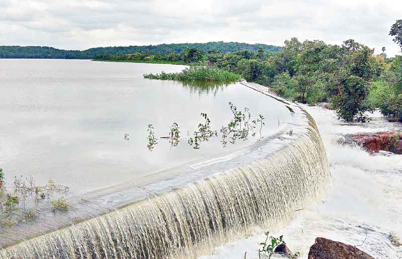 ఆగని వాన