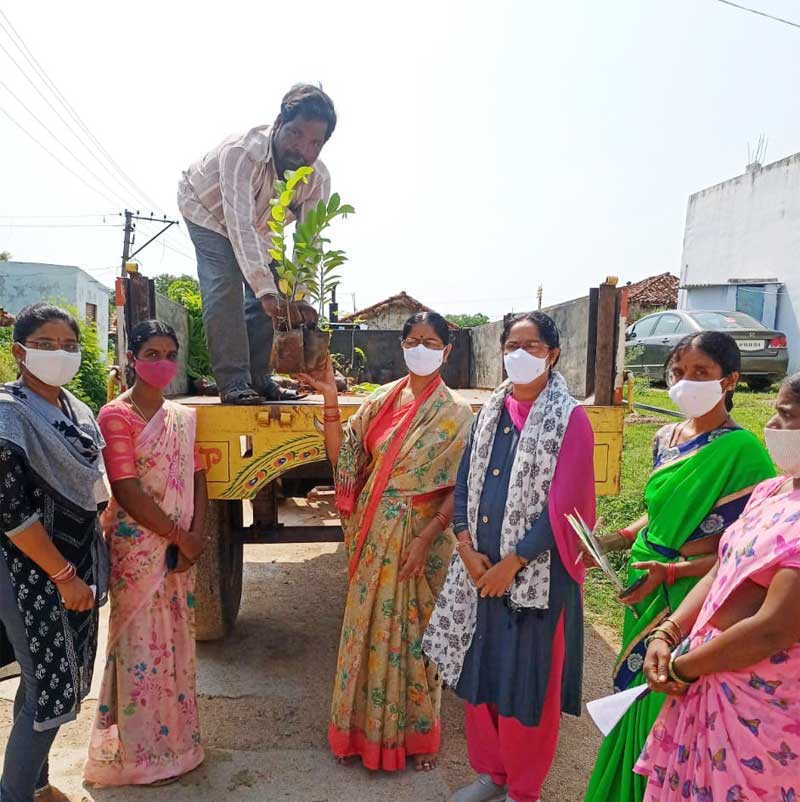 ఉత్సాహంగా పల్లెప్రగతి