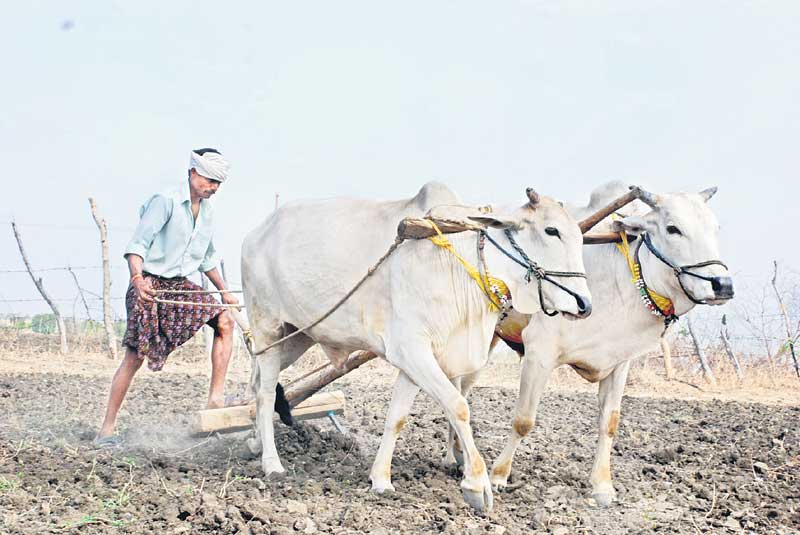 వెనుకబాటుపై ముందడుగు…!