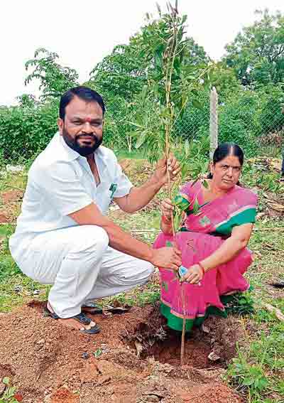 ముక్కోటి వృక్షార్చనలో పెద్ద సంఖ్యలో పాల్గొనాలి