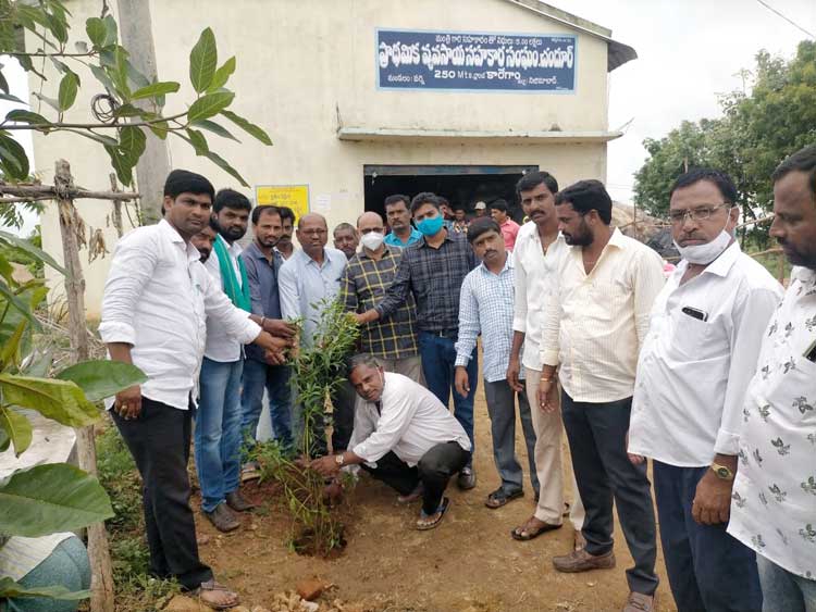 సహకార సంఘాలకు పచ్చతోరణాలు