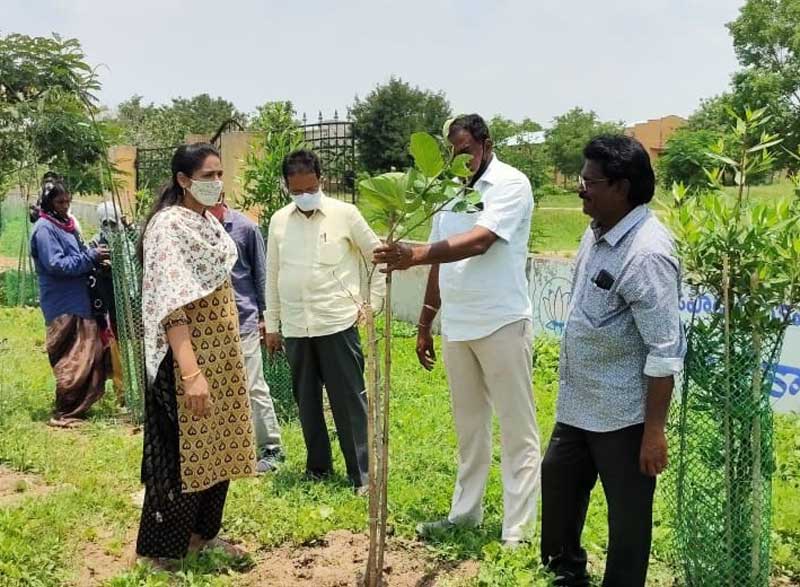 కాలనీలు పచ్చదనంతో కళకళలాడాలి