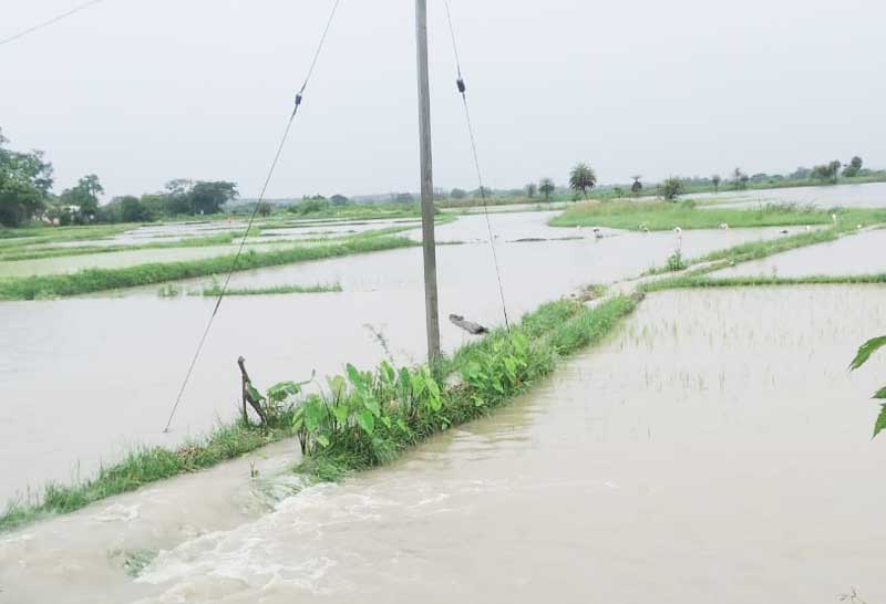 పలు మండలాల్లో భారీ వర్షం