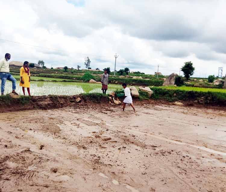 పంటల సాగుపై రైతులకు అవగాహన