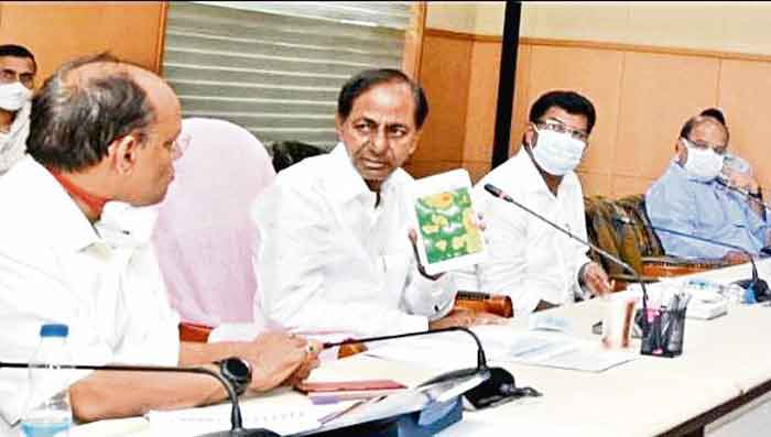 గోదావరి పరీవాహక ప్రాంతాల్లో వర్షాలపై సీఎం కేసీఆర్‌ సమీక్ష