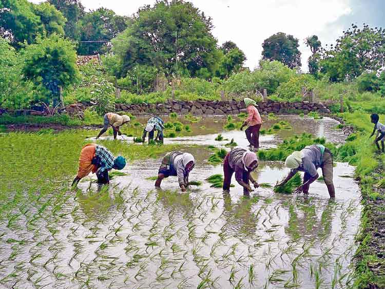 ఆత్మబంధువు..దళిత బంధు
