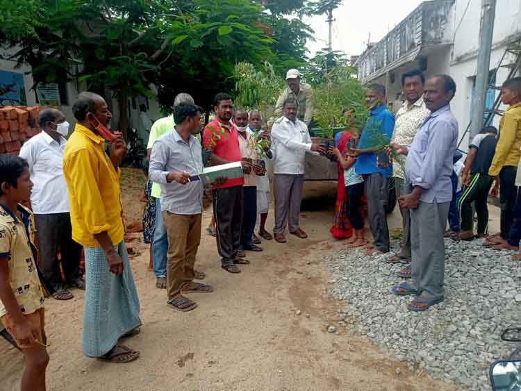 ఉత్సాహంగా హరితహారం