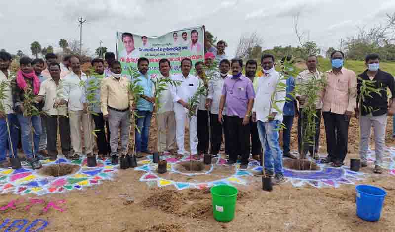 ఇంటింటా మొక్కలు.. ఊరంతా పచ్చదనం