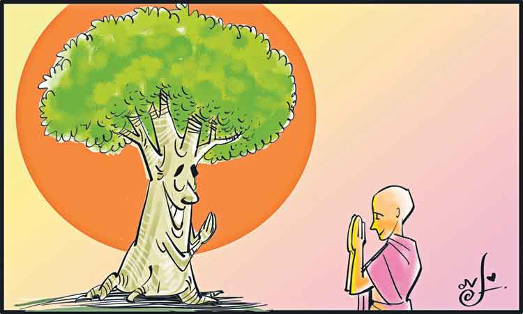 వృక్షో రక్షతి రక్షితః