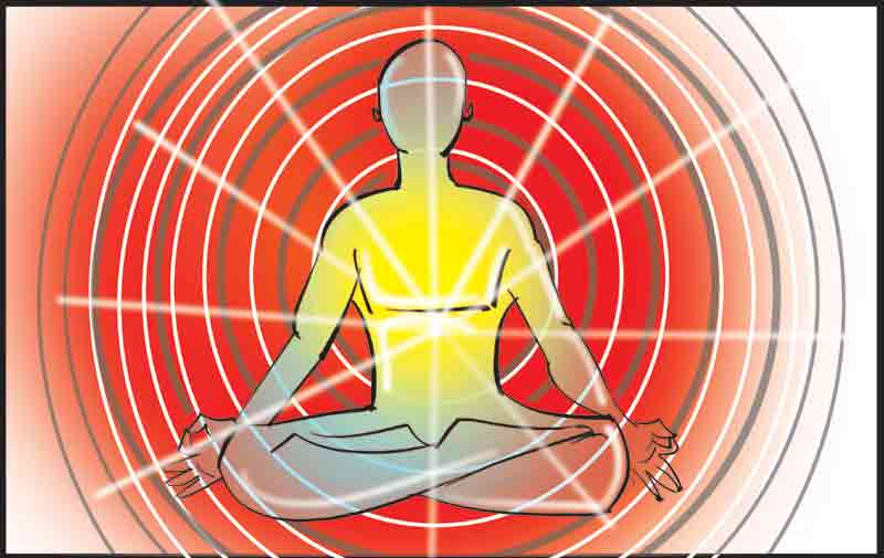 నిబద్ధతతోనే నిమగ్నత