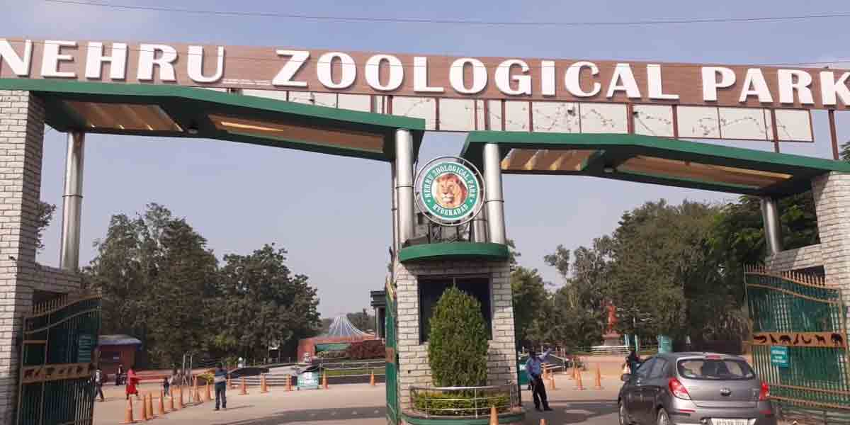 రేపటి నుంచి నెహ్రు జూపార్క్‌ ఓపెన్‌.. అనుమతి వారికే?