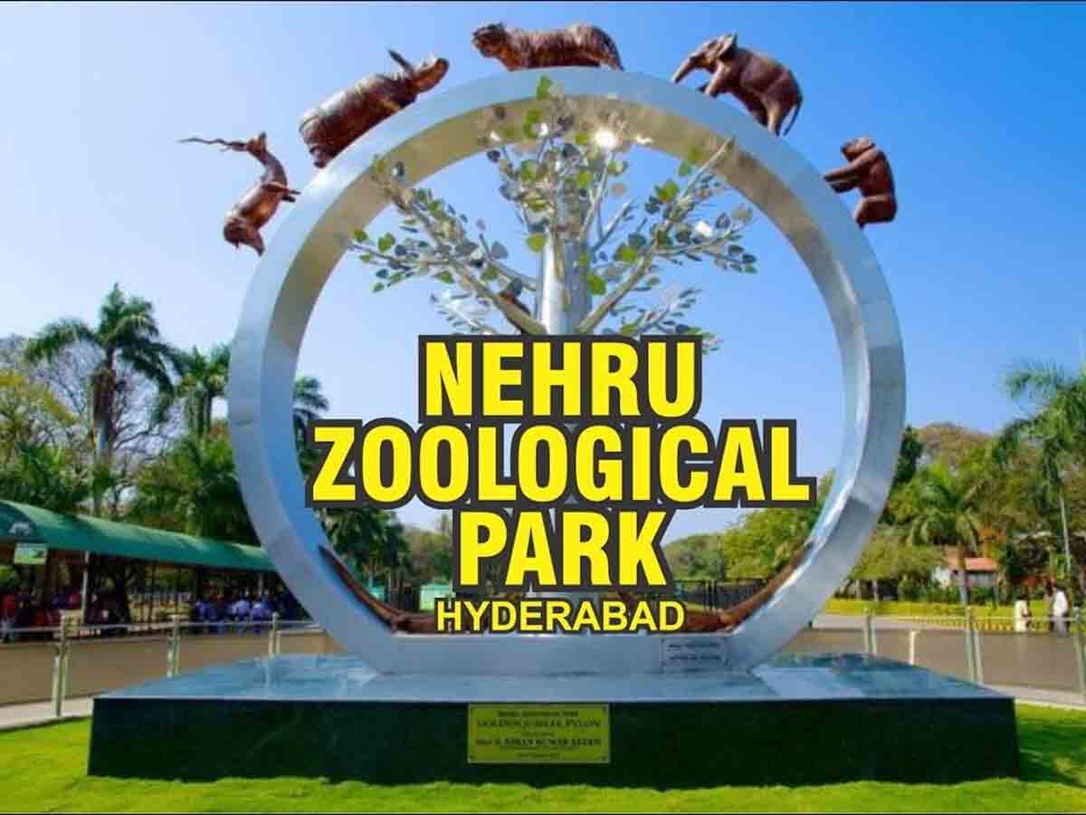 Zoo Park | అవన్నీ ఊహాగానాలే.. జూపార్క్‌ను ఎక్కడికి తరలించడంలేదు : మోహన్ పర్గేన్