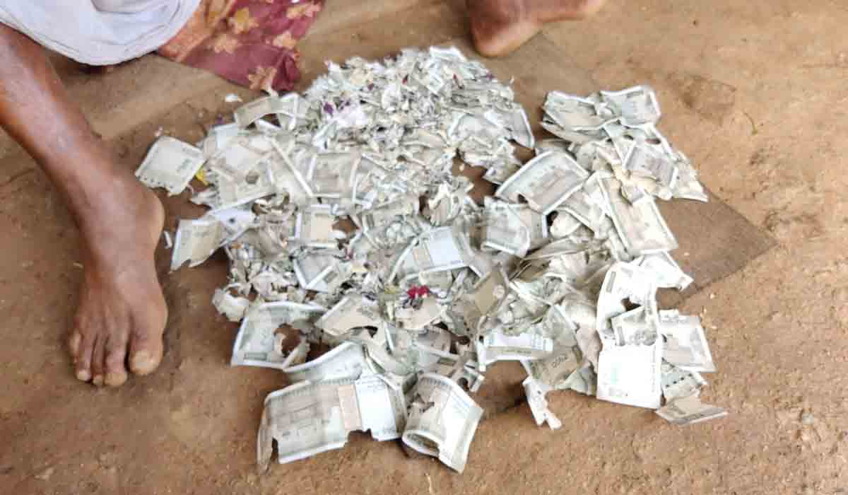 వైద్యం కోసం దాచుకున్న 2 లక్షలు ఎలుకల పాలు