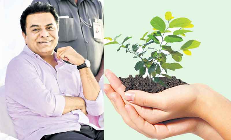 అమాత్యుడికి హరిత కానుక