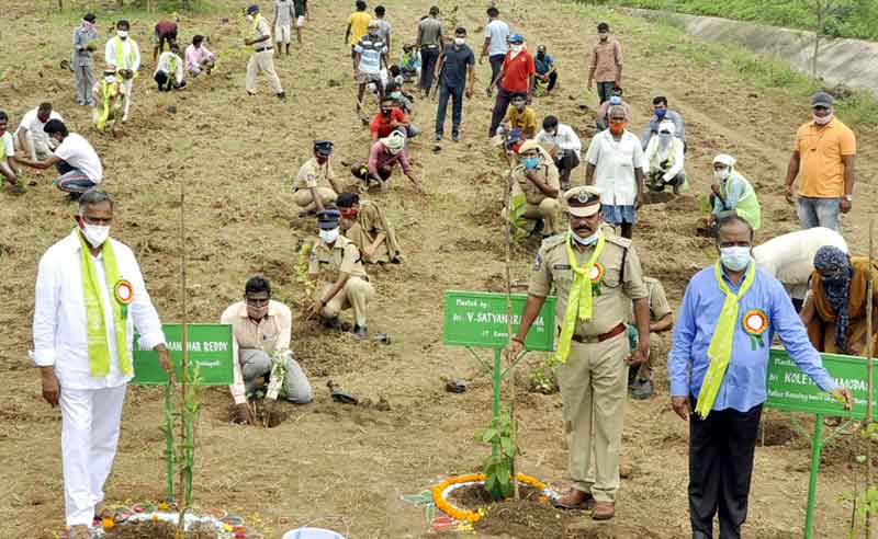ఊరూరా విరివిగా మొక్కలు నాటాలి