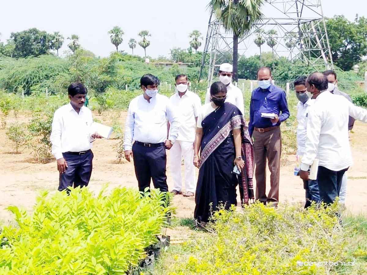 పారిశుధ్యంపై ప్రత్యేక శ్రద్ధ తీసుకోవాలి