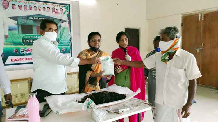 ఆధునిక పద్ధతులతో అధిక దిగుబడి