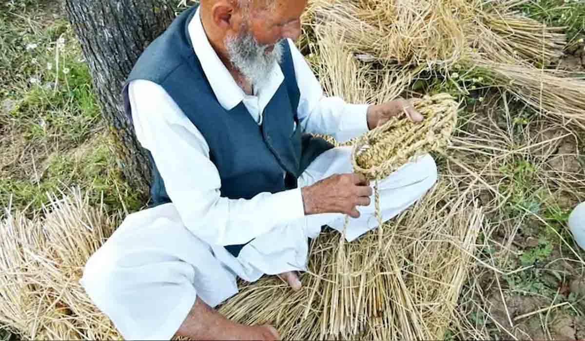 వ‌రిగ‌డ్డితో చెప్పుల త‌యారీ.. ఎక్క‌డో తెలుసా?