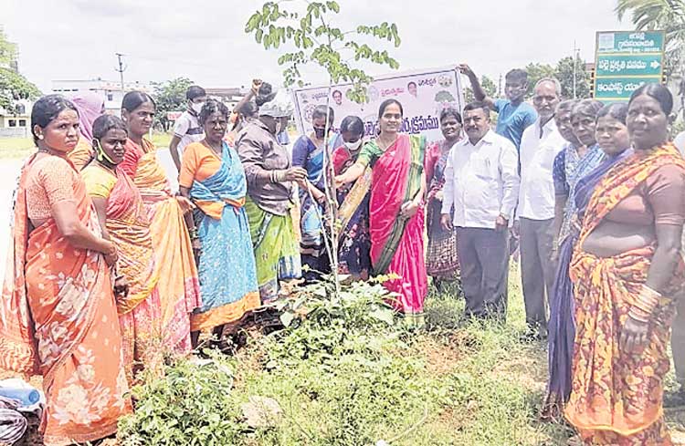 సామాజిక బాధ్యతగా మొక్కలు నాటాలి