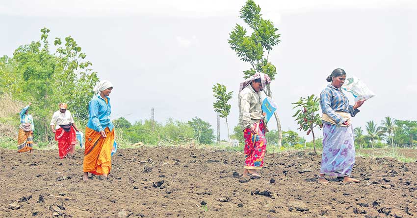 సాగు సందడి..