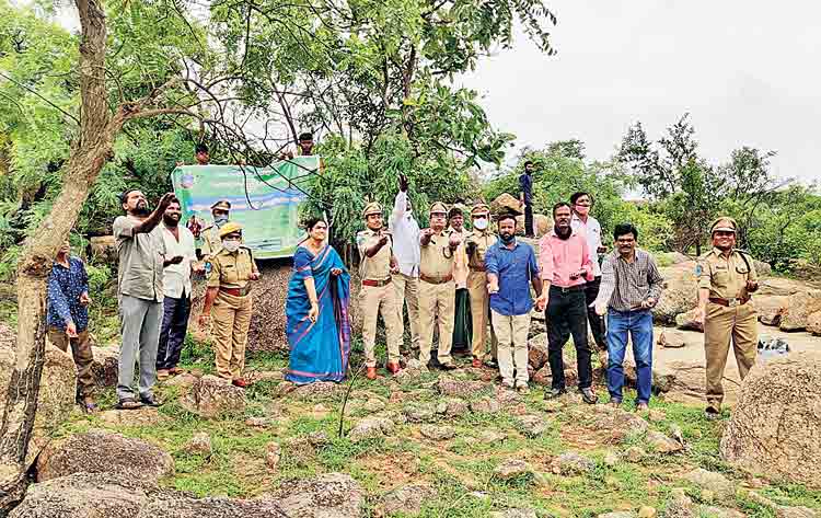 విత్తన బంతులతో అటవీసంపద వృద్ధి