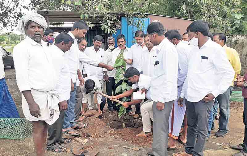 ఘనంగా ముక్కోటి వృక్షార్చన