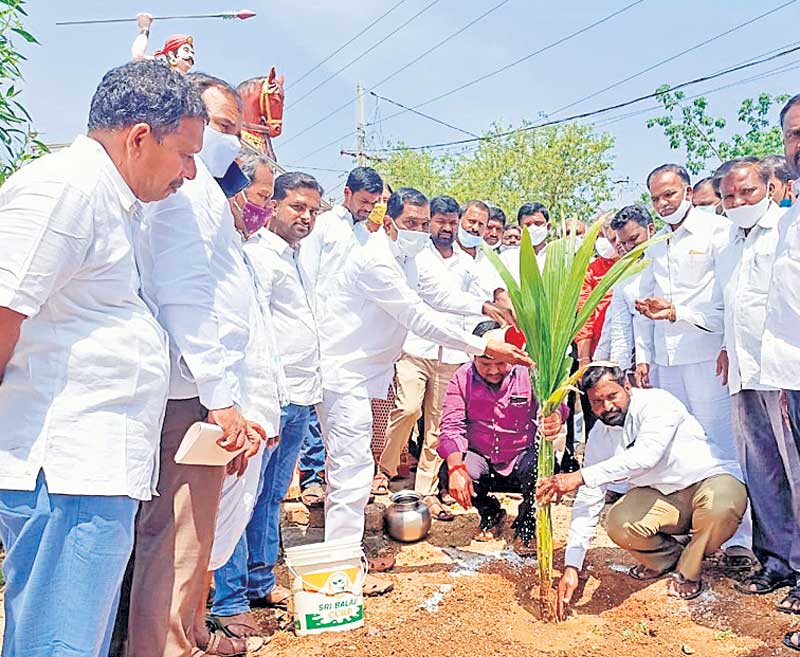 పచ్చదనంతో ఆరోగ్యం