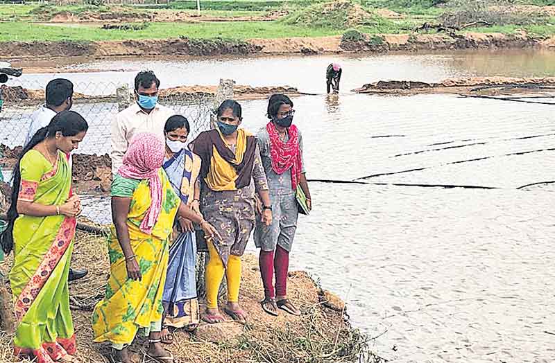 నిండుకుండల్లా చెరువులు, కుంటలు