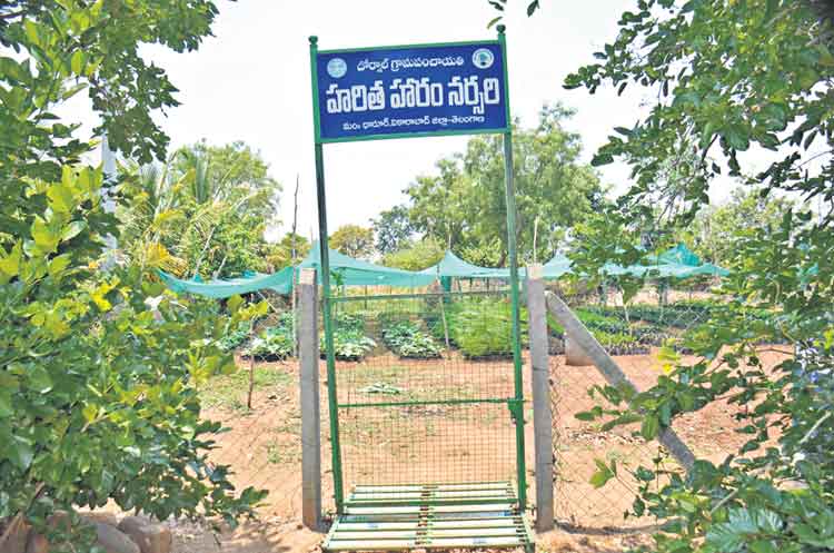 పల్లె ప్రగతితో మెరిసిన పల్లె