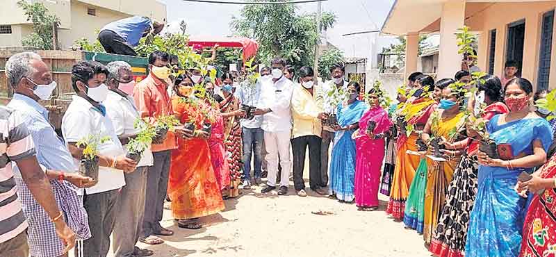 పల్లెకు స్వచ్ఛత.. పుడమికి పచ్చదనం