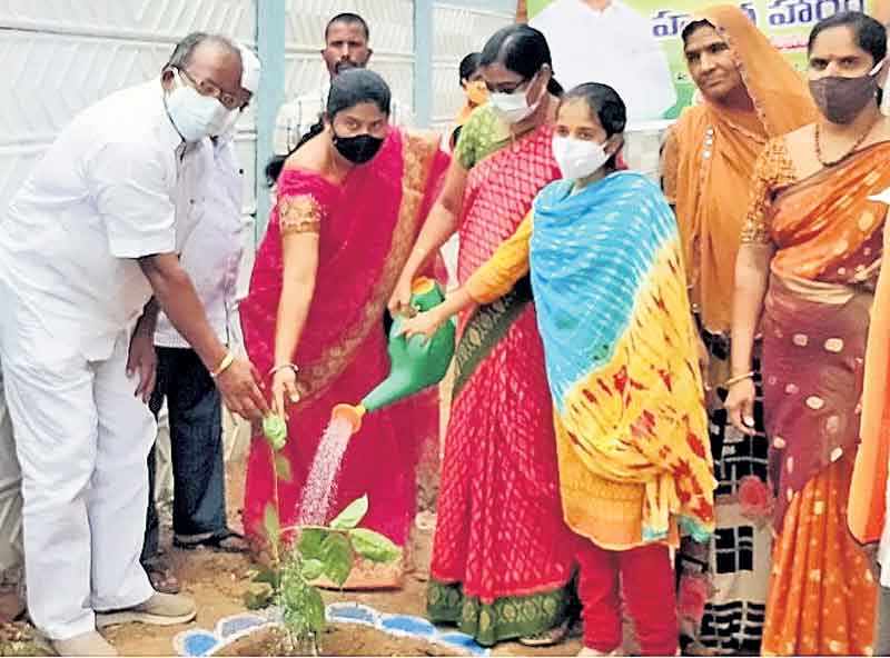 పల్లె, పట్టణ ప్రగతితో సమగ్రాభివృద్ధి