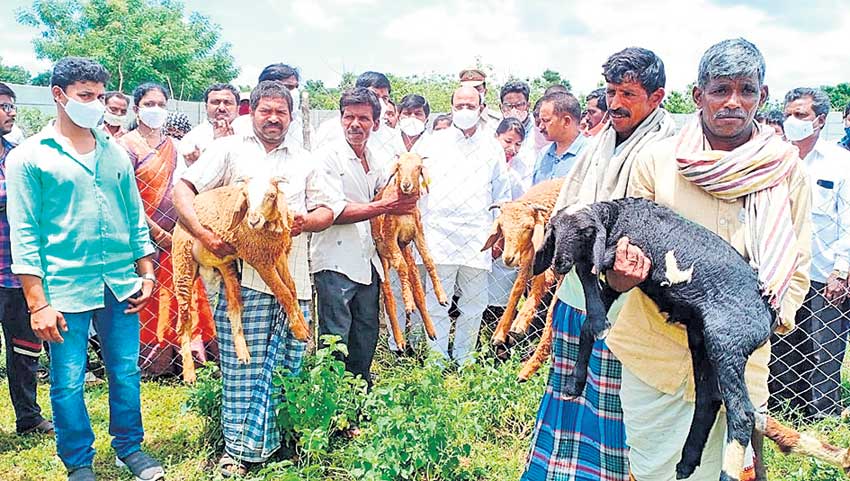 వృత్తిదారులకు ప్రభుత్వం అండ