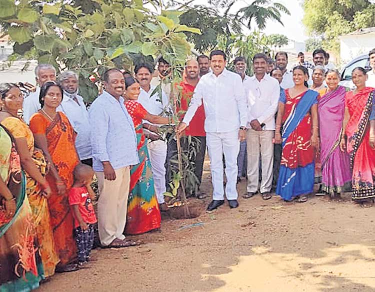 గ్రామాల్లో పచ్చదనాన్ని పెంపొందించాలి