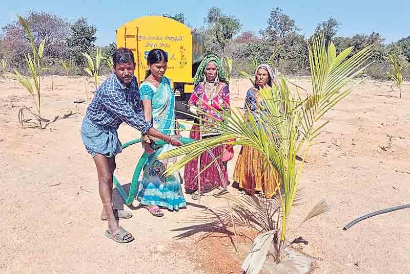 అల్లాపూర్‌.. అద్భుతం