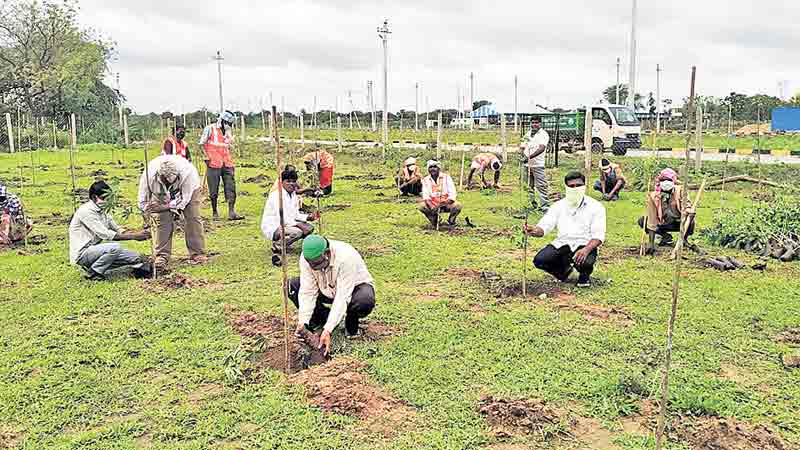 యువ నేతకు హరిత కానుక