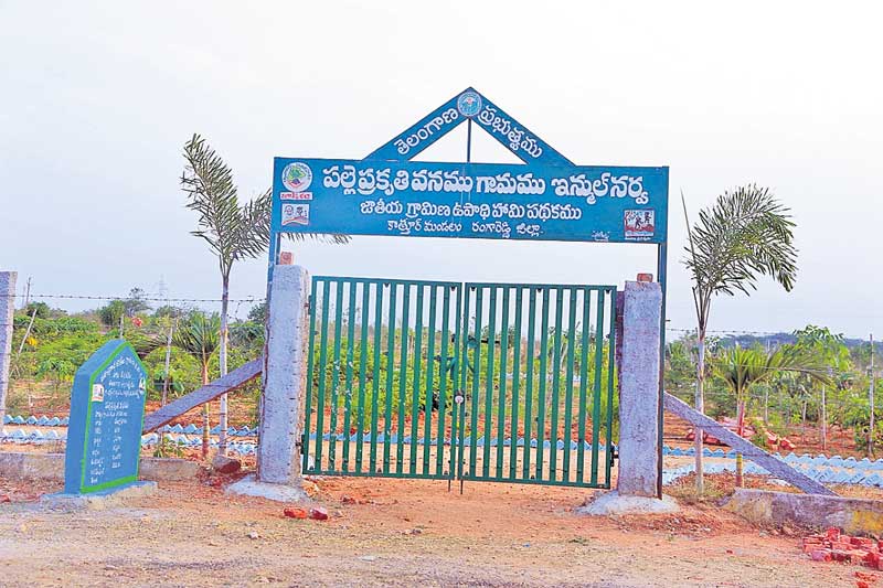 ఇన్ముల్‌నర్వ అభివృద్ధి అమోఘం