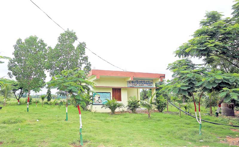 పల్లె దారులన్నీ..పచ్చల హారాలే..