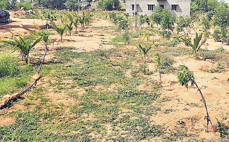 అడవివెంకటాపూర్‌లో అభివృద్ధి అద్భుతం