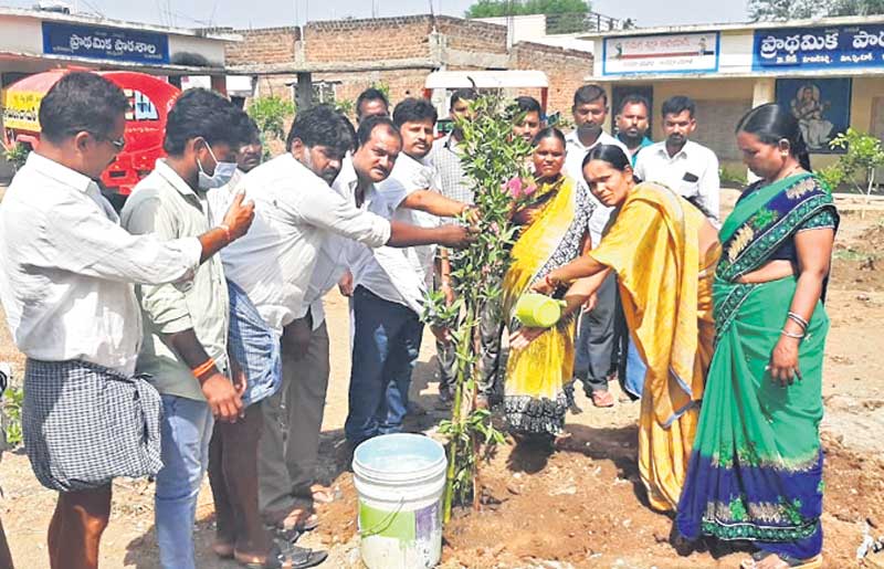 రేగడి మామిడిపల్లి రూపు మారింది