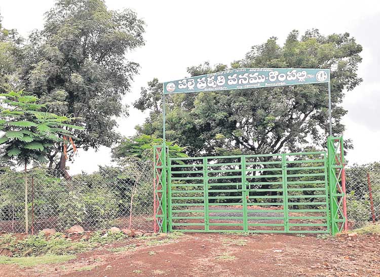 స్వచ్ఛ రొంపల్లి