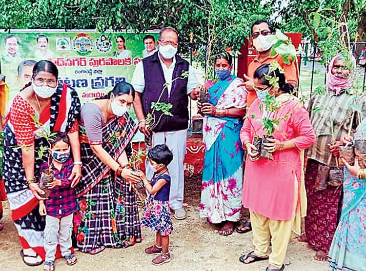 మొక్కల సంరక్షణ అందరి బాధ్యత