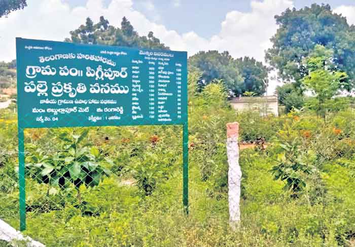మెరిసిన ప్రగతి మురిసిన పల్లె