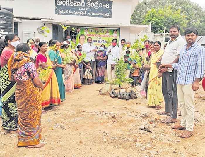 సకల జీవకోటికి ప్రాణాధారం మొక్కలే