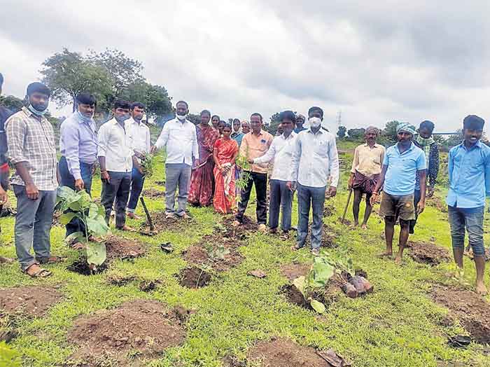 పల్లె ప్రకృతివనాలతో కొత్త అందాలు