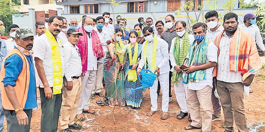 పుడమితల్లికి పచ్చనిహారం