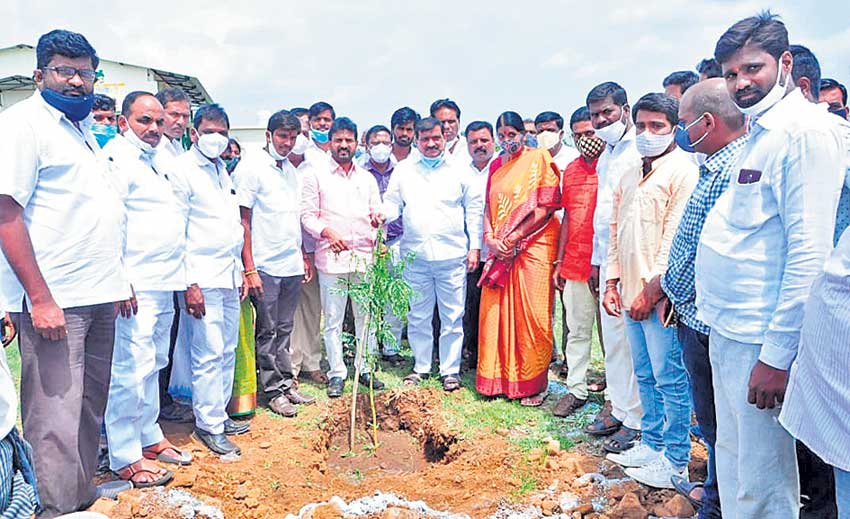 లాభసాటి పంటలు వేయాలి