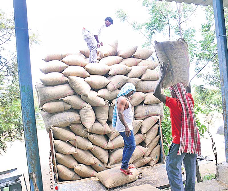 దండిగా ధాన్యం